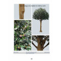 Olive Artificial Tree for Outdoor Decoration with SGS Certificate (50512)